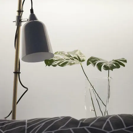 아파트 Salt&pepper